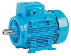 Электродвигатель триммера N=5.5 кВт