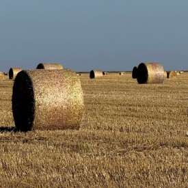 Сетка Kametex под брендом Novatex (Новатекс)