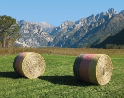 Сетка Kametex под брендом Novatex (Новатекс)